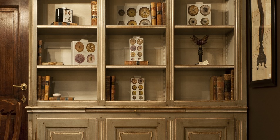 Bibliotheque Louis XVI